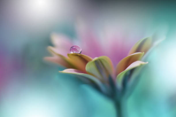 Beautiful macro shot,magic flowers.Border art design.Magic light.Extreme close up macro photography.Conceptual abstract image.Pink and Green Background.Fantasy Art.Creative Wallpaper.Beautiful Nature Background.Artistic Spring Photo.Beauty in Nature.