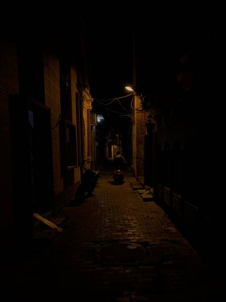 istock From the Streets of India 1141120073
