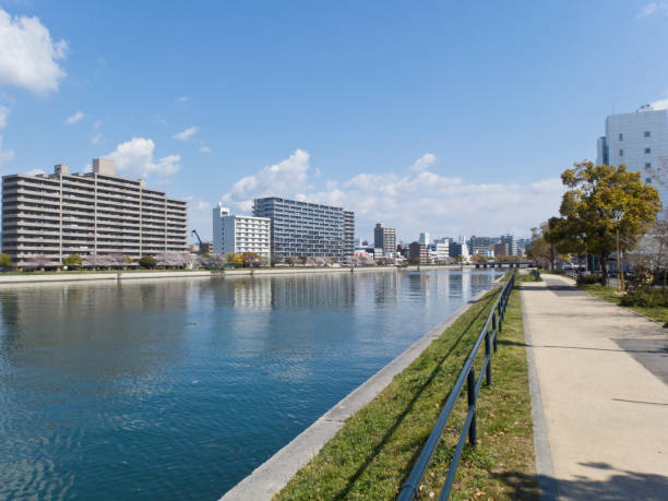 istock Landscape of cherry blossoms and river 1141122429