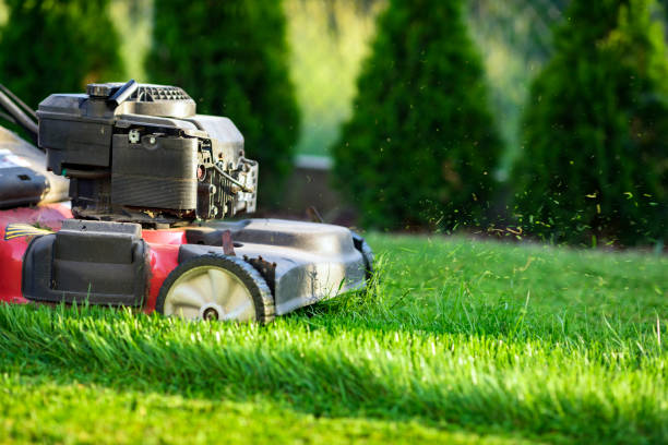 istock Lawn mower on green grass 1141122968
