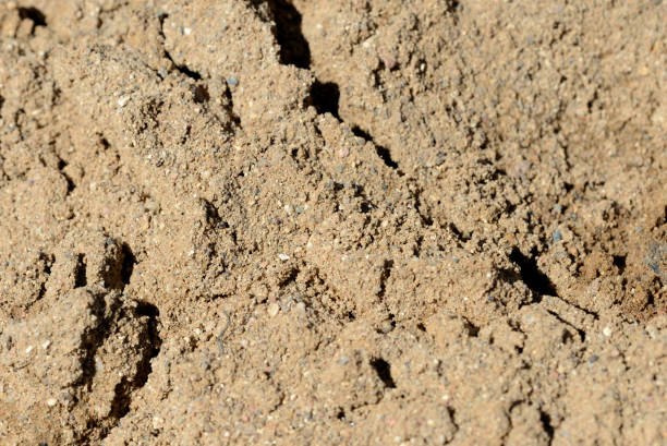 istock Texture of sand. Construction sand close up background 1141124478