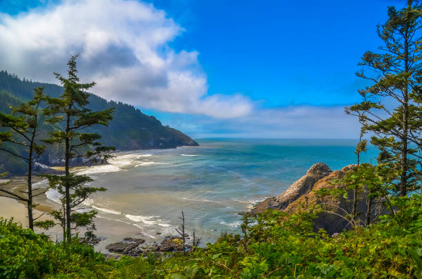 istock Pacific ocean and Oregon coast/beach - sand,, surf,, and dense forests 1141124481