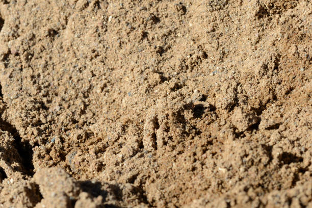 istock Texture of sand. Construction sand close up background 1141124482