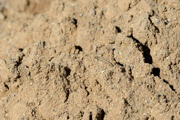 istock Texture of sand. Construction sand close up background 1141124483