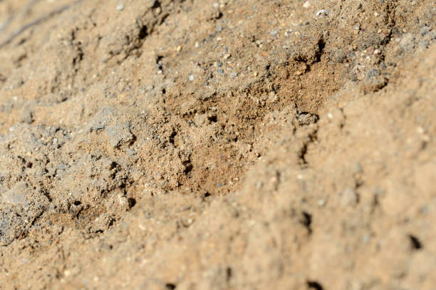 istock Texture of sand. Construction sand close up background 1141124490