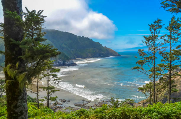 istock Pacific ocean and Oregon coast/beach - sand,, surf,, and dense forests 1141125571
