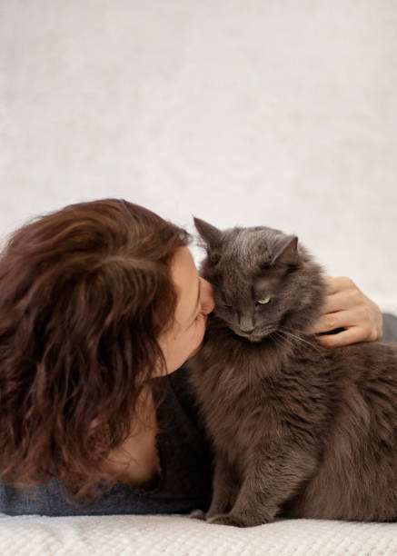istock Young woman is resting on a sofa with her fluffy gray beautiful cat. 1141126699