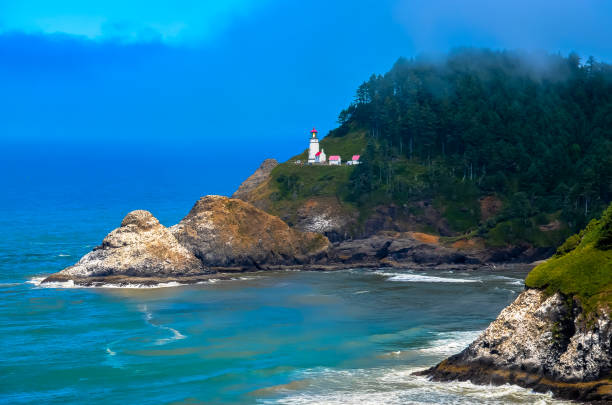 istock Pacific ocean and Oregon coast/beach - sand,, surf,, and dense forests 1141127624
