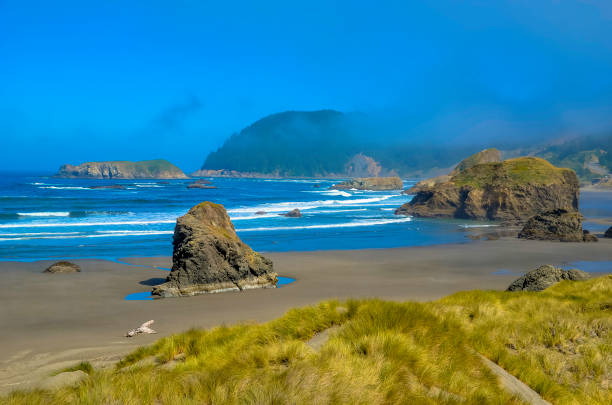 istock Pacific ocean and Oregon coast/beach - sand,, surf,, and dense forests 1141128103