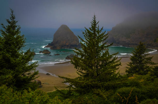 istock Pacific ocean and Oregon coast/beach - sand,, surf,, and dense forests 1141129232