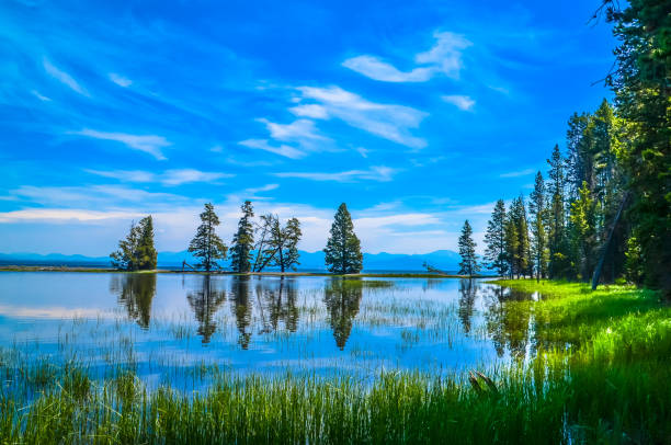 Turquoise Pool, a hot spring, with reflection in the Midway Geyser Basin of Yellowstone National Park, Wyoming