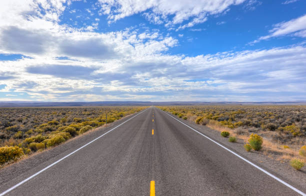 an empty road stretching into the horizon - empty road imagens e fotografias de stock