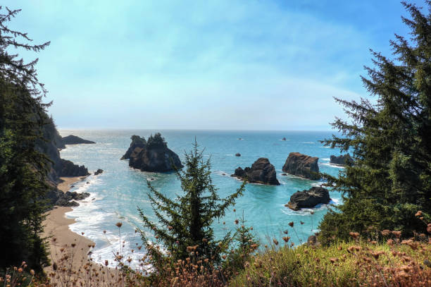A secret beach in Samuel H. Boardman State Park