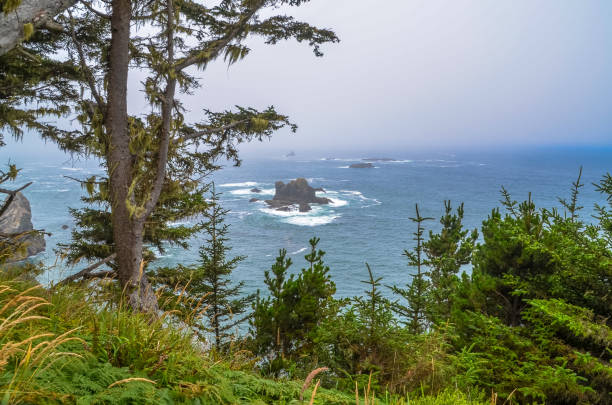 istock Pacific ocean and Oregon coast/beach - sand,, surf,, and dense forests 1141131226