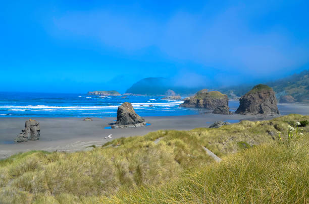istock Pacific ocean and Oregon coast/beach - sand,, surf,, and dense forests 1141132708