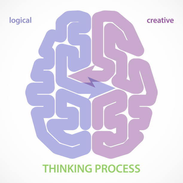 ilustraciones, imágenes clip art, dibujos animados e iconos de stock de pensamiento lógico vs creativo del cerebro humano - sección alta ilustraciones