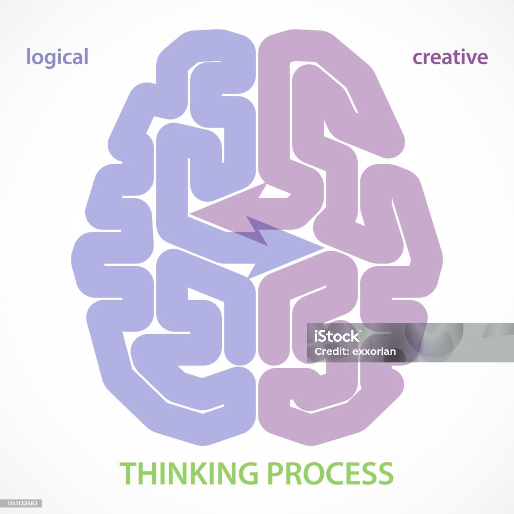 Logical Vs Creative Thinking Of Human Brain Different halves of creative and logical of human mind. Left Cerebral Hemisphere stock vector