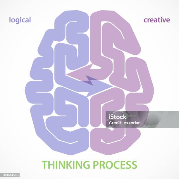 Logical Vs Creative Thinking Of Human Brain Stock Illustration - Download Image Now - Left Cerebral Hemisphere, Right Cerebral Hemisphere, Expertise