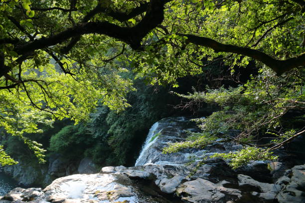 istock Cheonjeyeon waterfalls, waterfalls, valleys, valleys, 1141133741