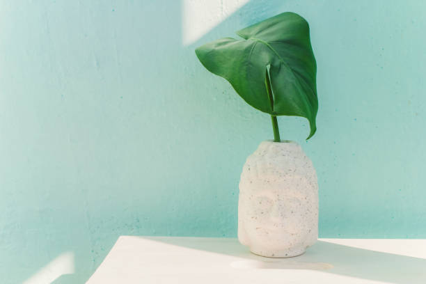 istock green monstera leaf in ceramic Buddha head 1141133817