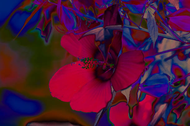 istock tropical flowers in neon light abstract tropical summer background 1141134152