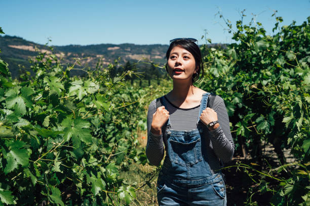 istock young student in overalls visit in vineyard 1141135347
