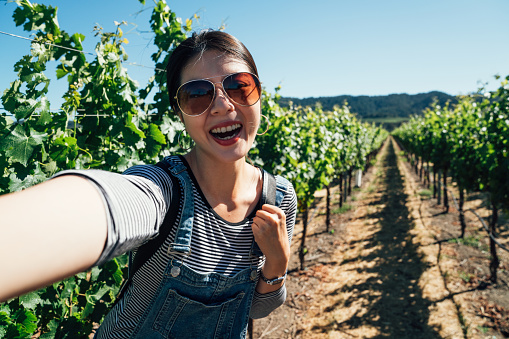 happy woman tourist walking in sunny grape field taking selfie with trees and plants. young girl cheerfully smiling taking self portrait under sunlight in winery. traveler visit napa valley in spring