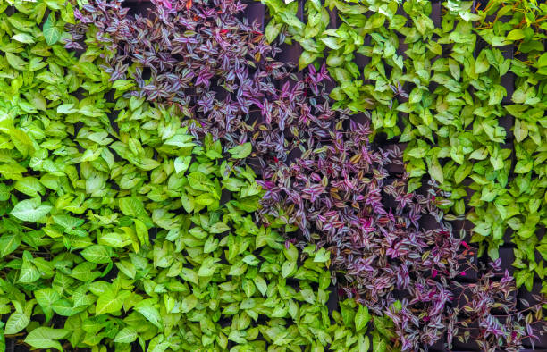 istock green leaves vertical plant garden background backdrop 1141138753