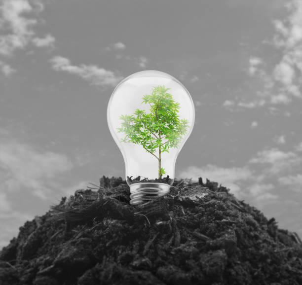 istock Ecological power and energy concept 1141138934