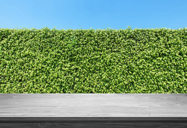 istock Empty wooden table with green hedge background 1141142037
