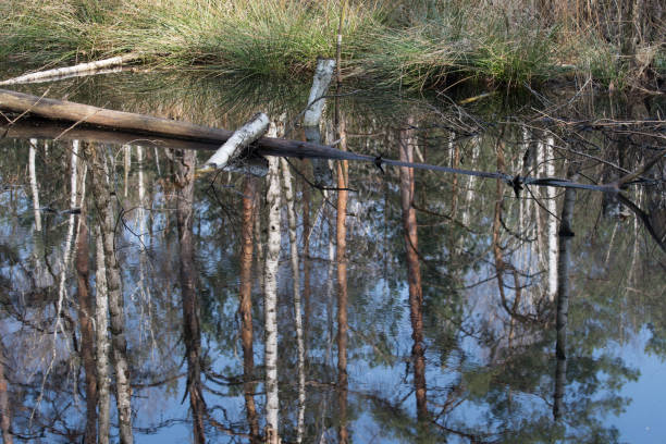 A high angle shot of a pond.