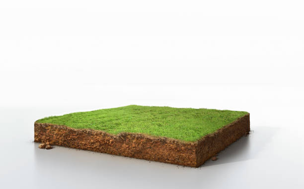 3D Illustration ground ecology isolated on white