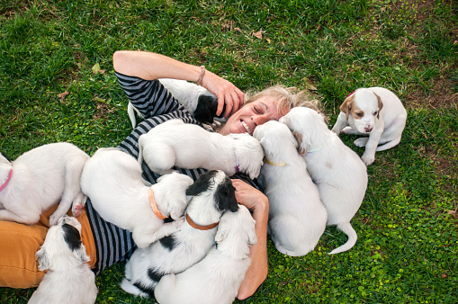 Las mujeres disfrutando con sus cachorros dálmatas photo