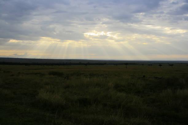 istock A landscape at sunrise from Masai Mara 1141144755