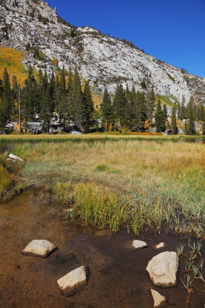 istock Lake in the mountains 1141148130