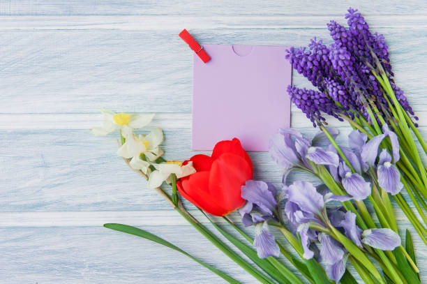 istock Spring flowers on wooden background 1141148478