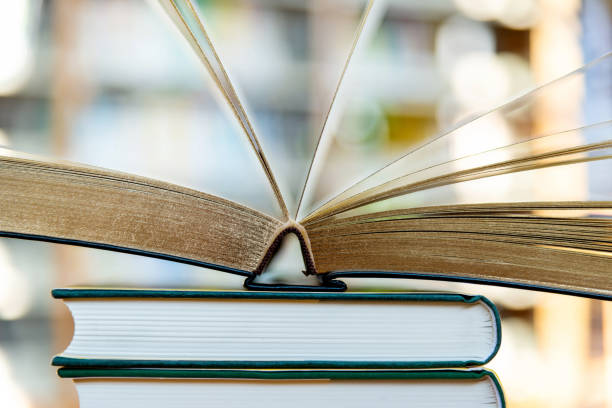 istock Stack of books on the table of public library 1141149405