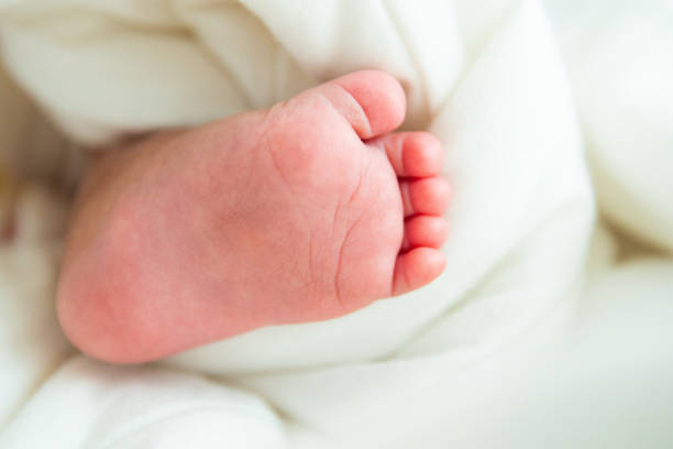 istock close-up newborn baby foot 1141149576