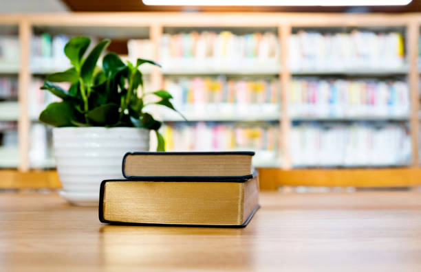 istock Two books on the table of public library 1141149584
