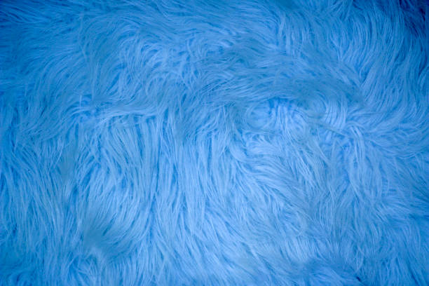 istock Fluffy texture of  fur for background, design. 1141152293