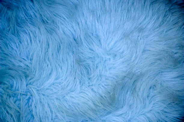 istock Fluffy texture of  fur for background, design. 1141152301