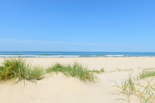 sandy beach