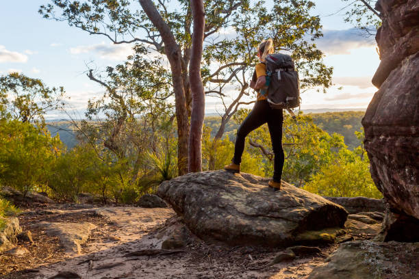 kobieta wędrowiec bushwalking w australijskim bushland - desert women female adult zdjęcia i obrazy z banku zdjęć