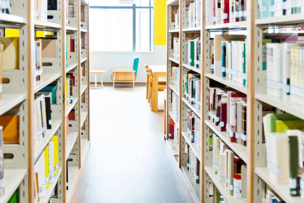 istock Bookshelves in modern public library 1141159415