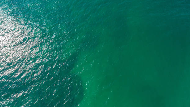 istock Aerial view of sea wave surface 1141163184
