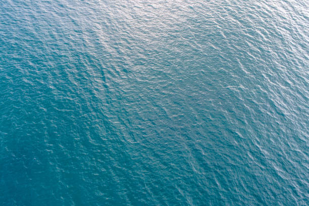 istock Aerial view of sea wave surface 1141164123