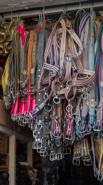 istock Set of different colored belts with buckles 1141166634