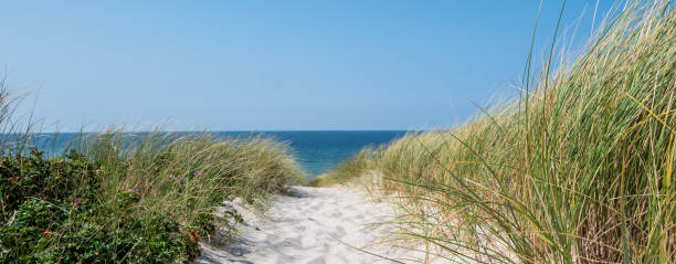 istock Panorama Sylt beach North Sea 1141167234