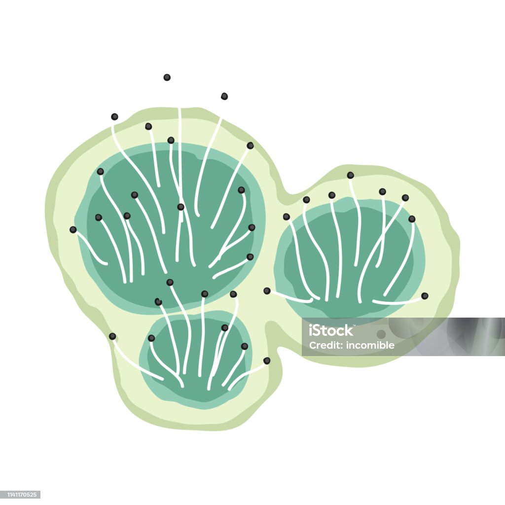 Green mold icon. Green mold icon. Illustration solated on white background. Molding a Shape stock vector