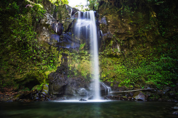 istock Lost Waterfall Wasserfall Boquete Panama 1141170533